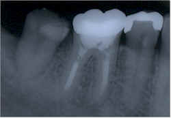 wpe4.jpg (4403 �o�C�g)
