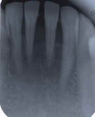 wpe2.jpg (3208 �o�C�g)
